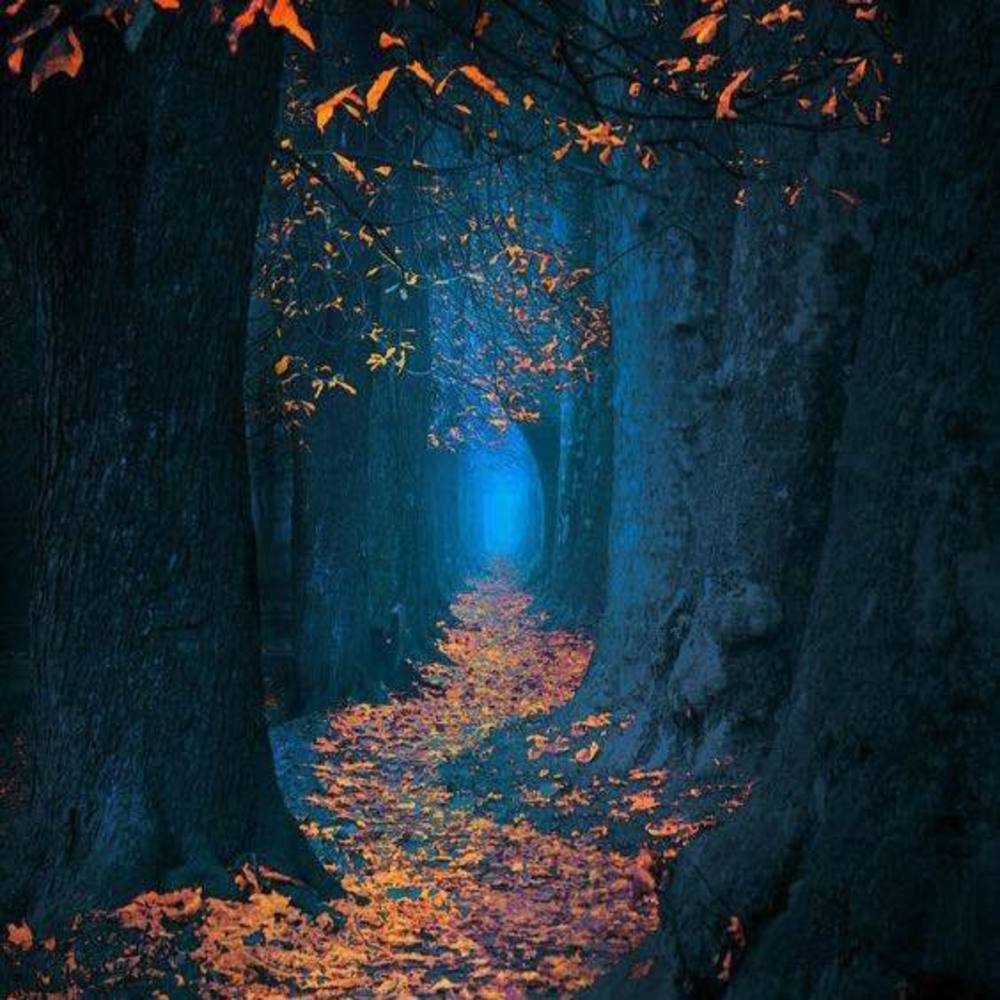 Meet your Posher, Antonius